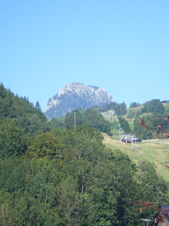 Apartamento Heidinger Oberaudorf Exterior foto